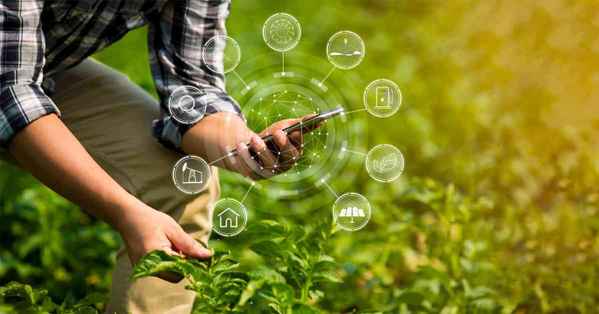 Digital Marketing and SEO Services for Agriculture Sector