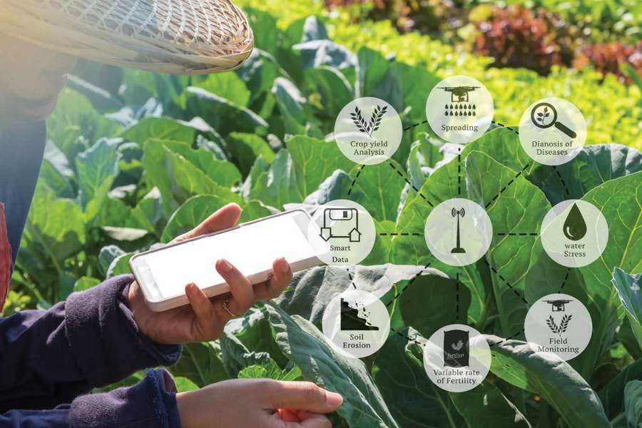 Digital Marketing and SEO Services for Agriculture Sector