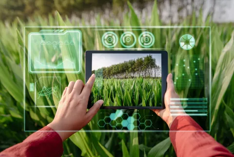 Digital Marketing and SEO Services for Agriculture Sector