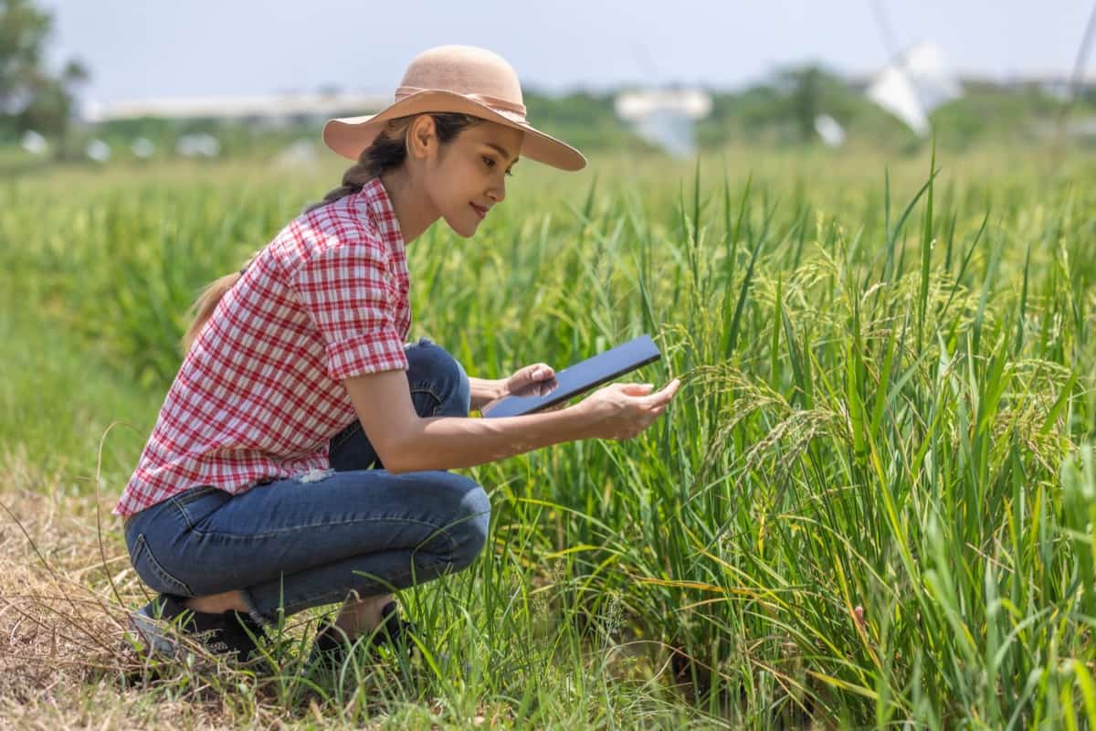 Digital Marketing and SEO Services for Agriculture Sector