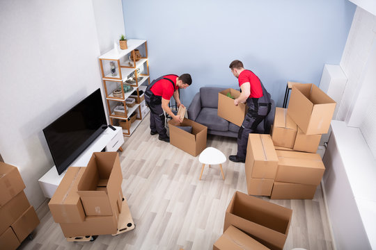Digital Marketing and SEO Services for Packers and Movers Companies