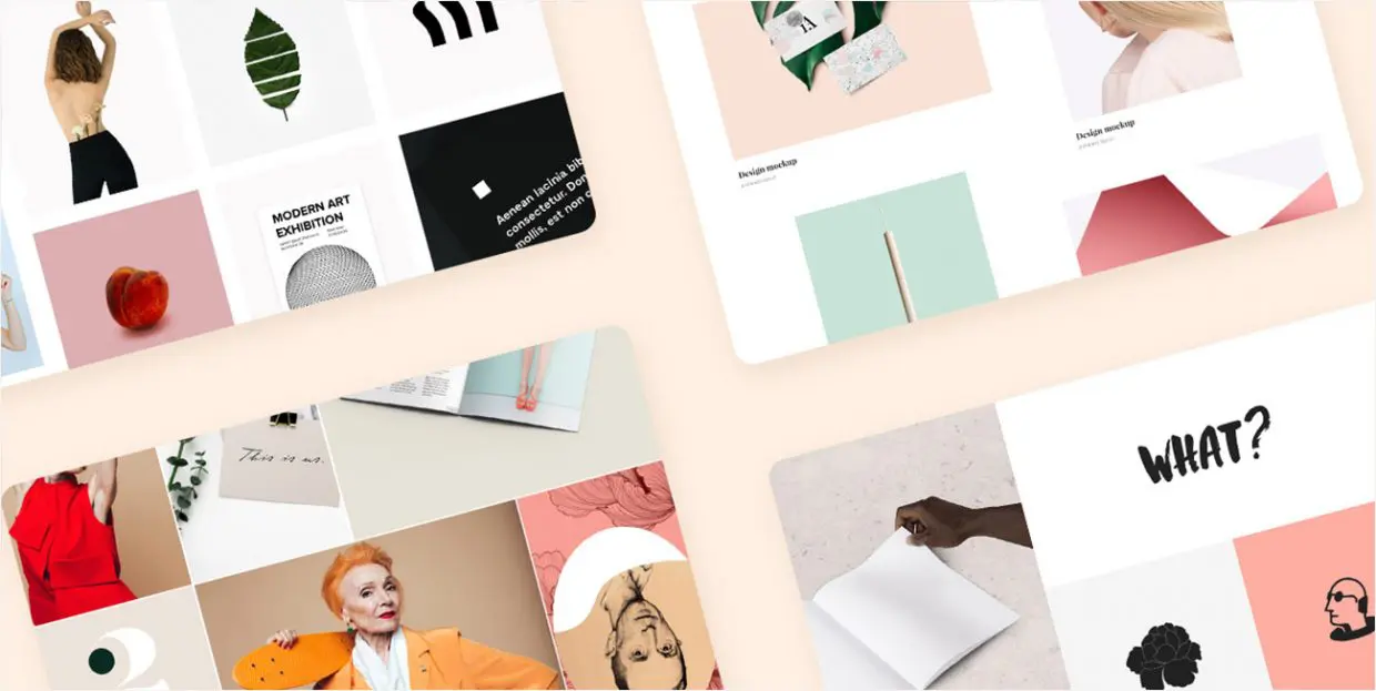 ZAPR Digital Portfolio